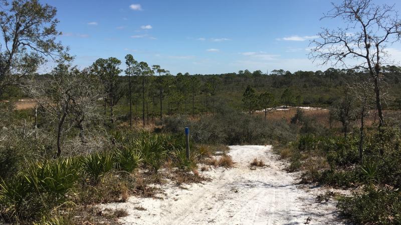 Trail at Catfish Creek